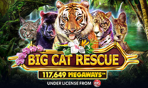 88go Big Cat Rescue Megaways